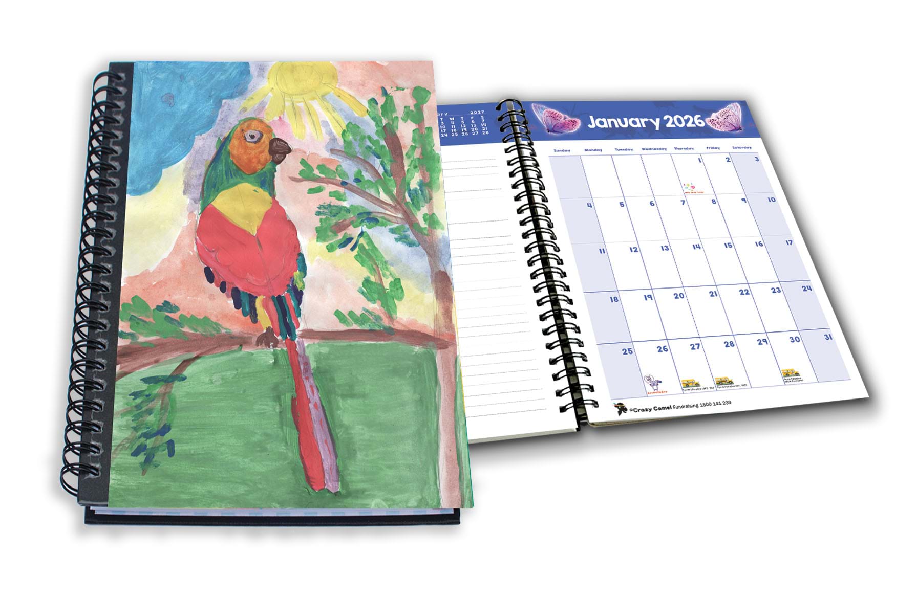 Diary Art Fundraiser