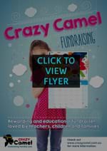 School Art Fundraising